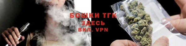 сатива Дмитровск