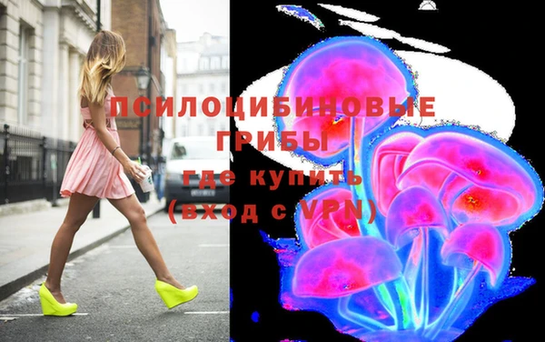 спиды Дмитров