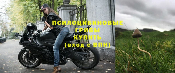 спиды Дмитров