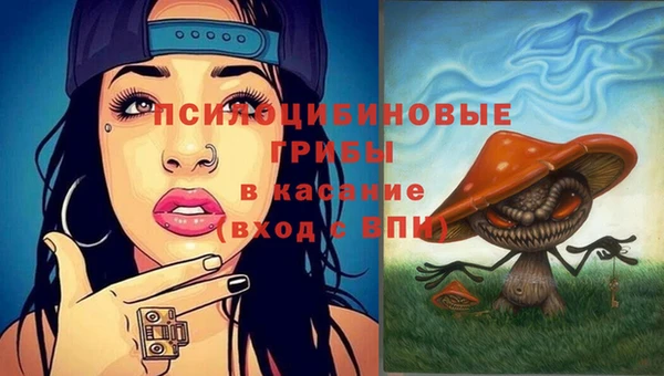 кокаин Дмитриев