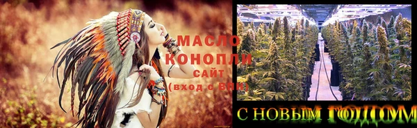 сатива Дмитровск