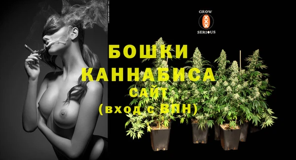 кокаин Дмитриев