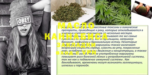 сатива Дмитровск