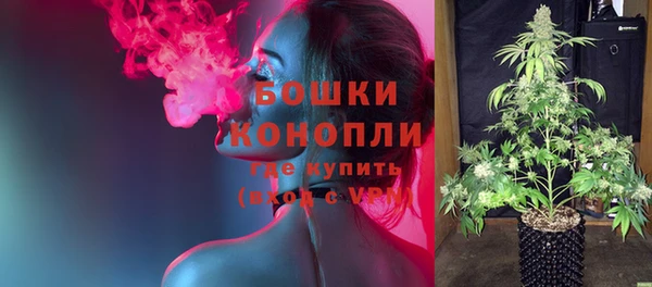 сатива Дмитровск
