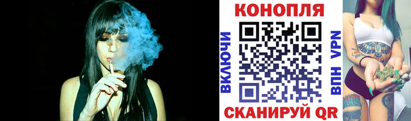 Купить  Конаково  Конопля ГИДРОПОН 